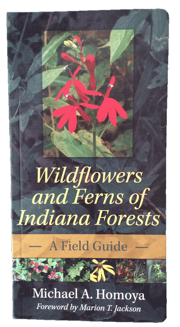 Wildflowers and Ferns of Indiana Forests: A Field Guide