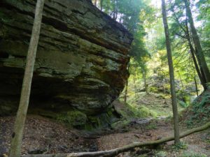 limestone formations in the woods